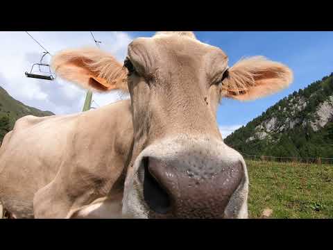 Lombardia - Che sogno incredibile