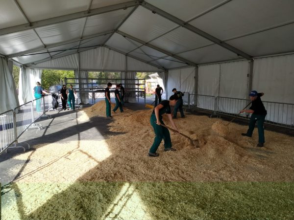 ABF San Giovanni - corso agricolo