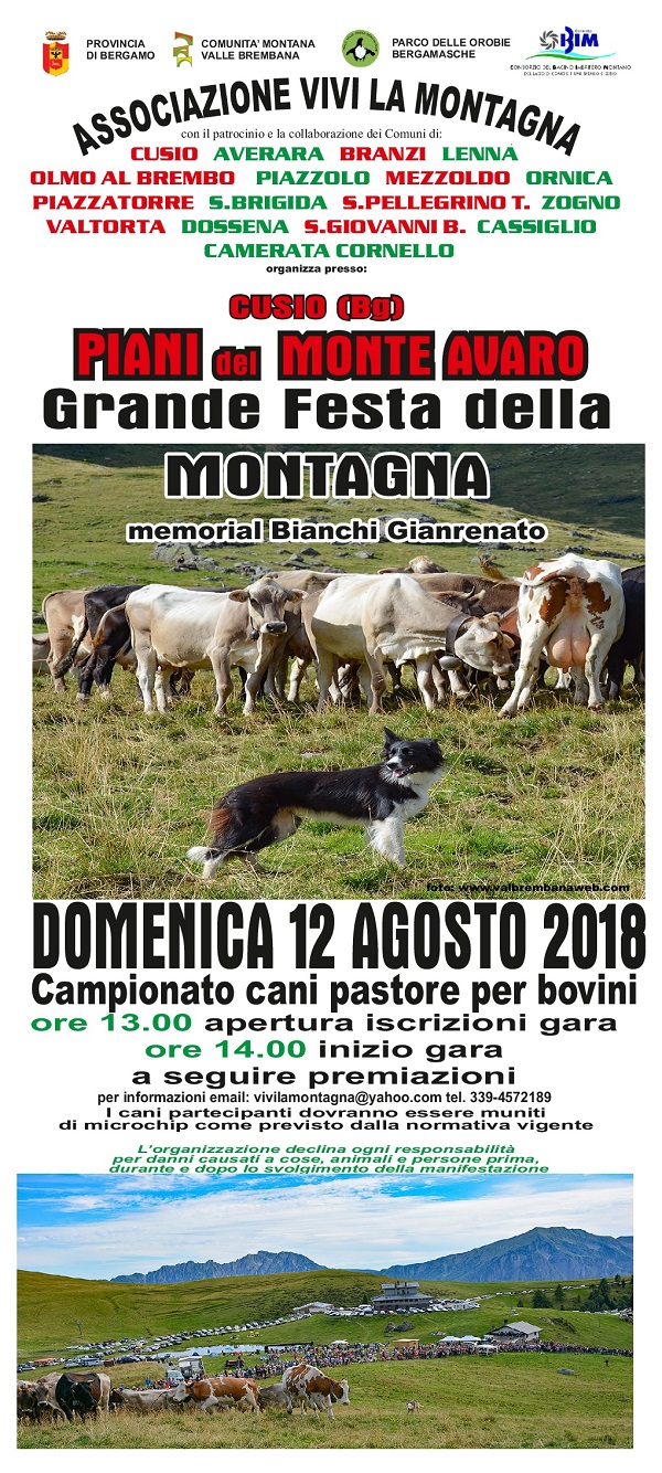 414 LOCANDINA 2018 1 001 - La Voce delle Valli