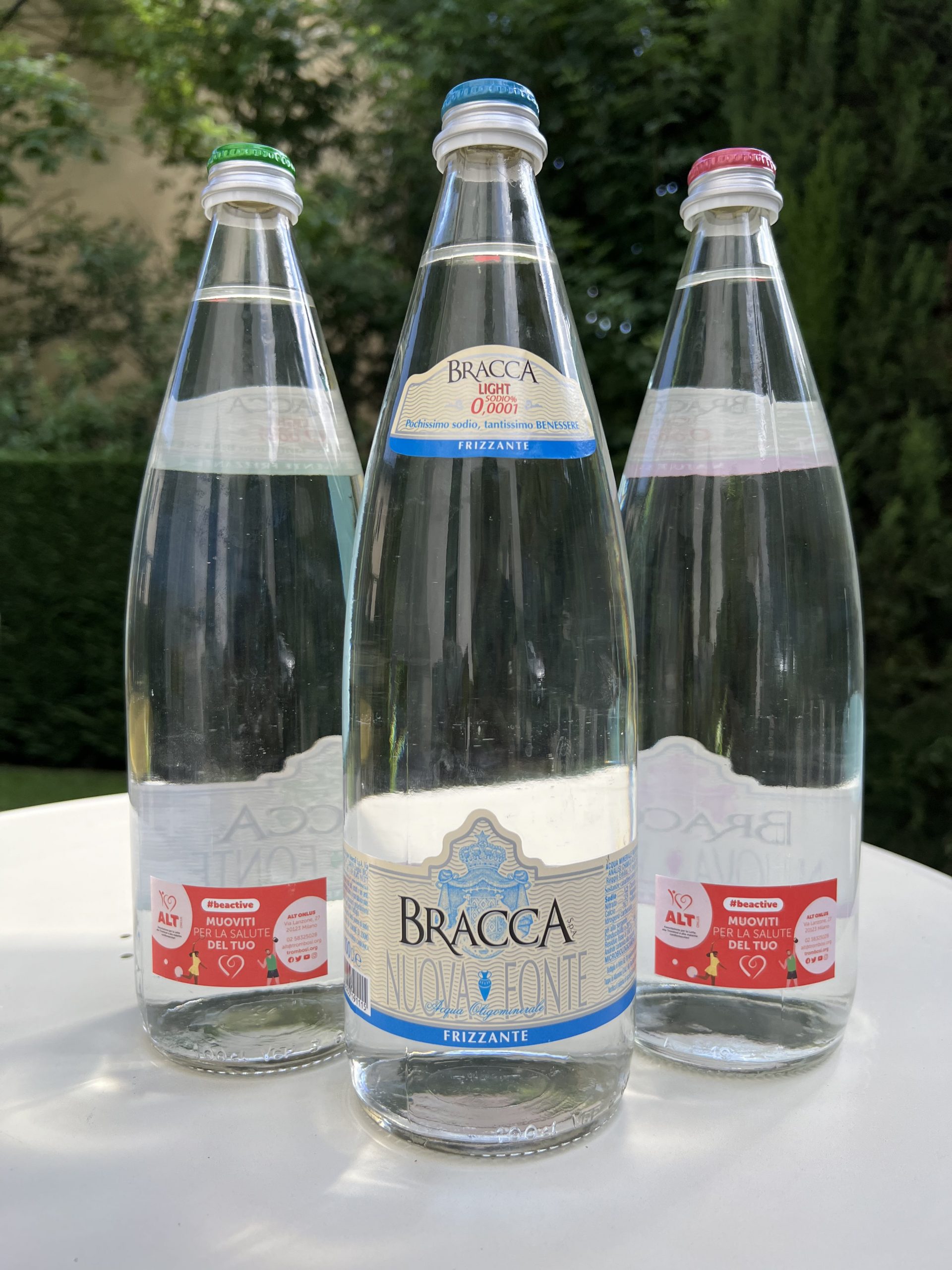 Bracca Alt Onlus giu2022 4 scaled - La Voce delle Valli