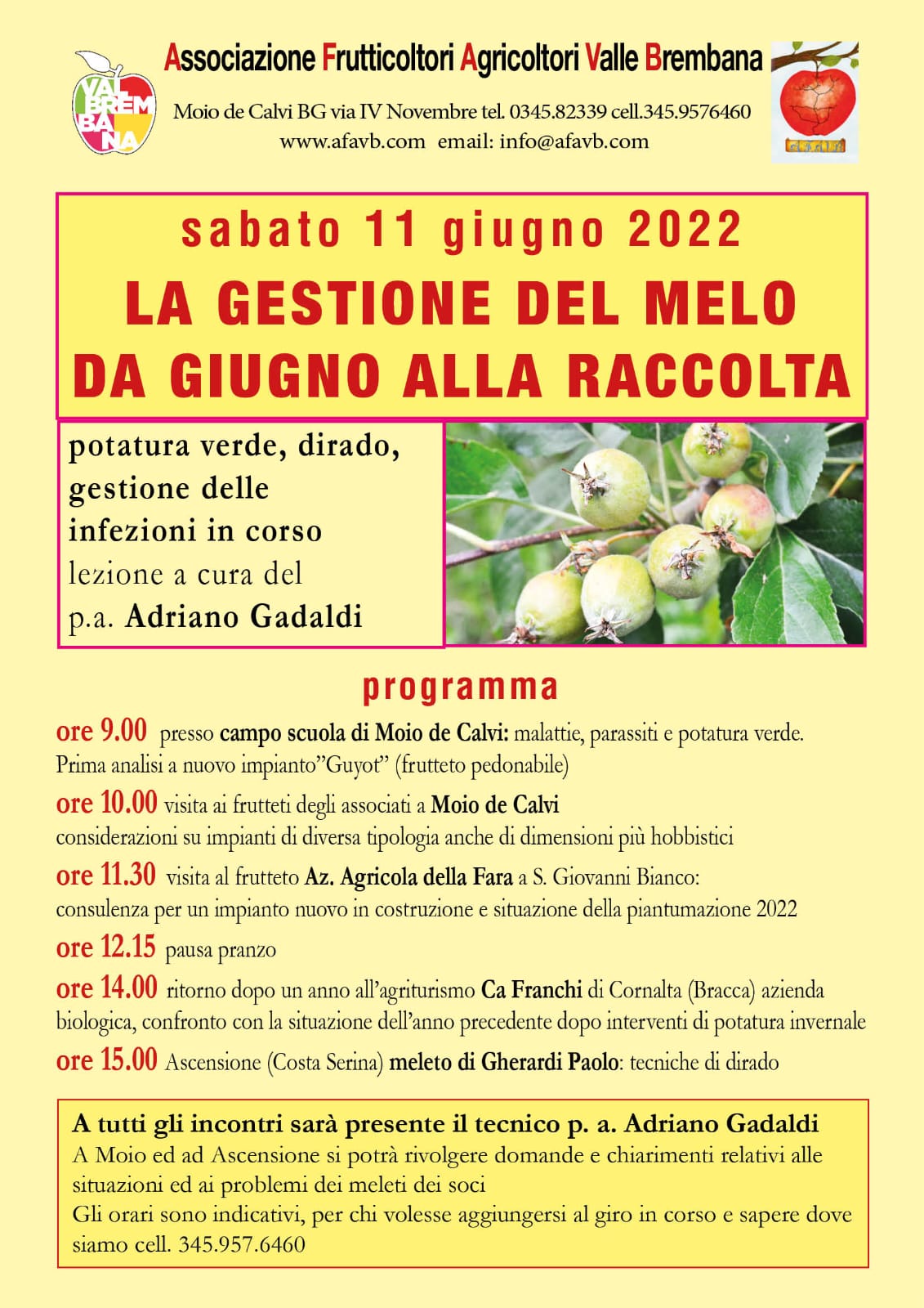 c8afb4f6 6dff 4fbd 992b 5fdd719fa888 - La Voce delle Valli