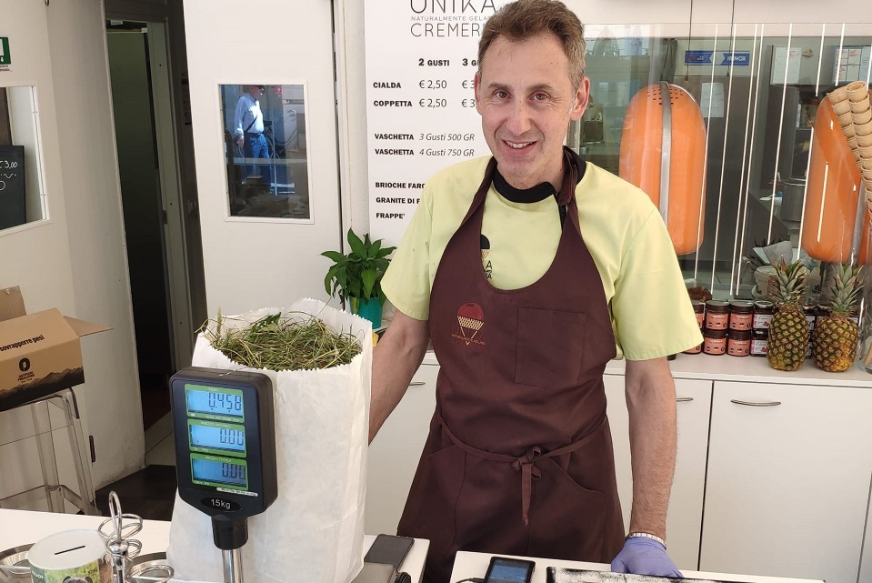 gelato al fieno - La Voce delle Valli