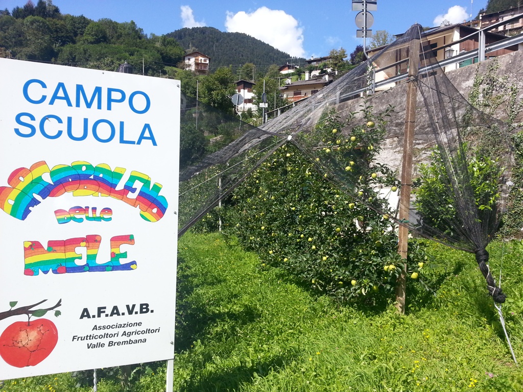 MELA VAL BREMBANA Campo Scuola Moio de Calvi - La Voce delle Valli