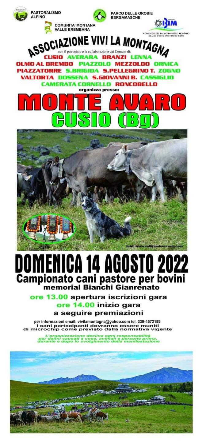 LOCANDINA 2022 SENZA SPONSOR 2 - La Voce delle Valli