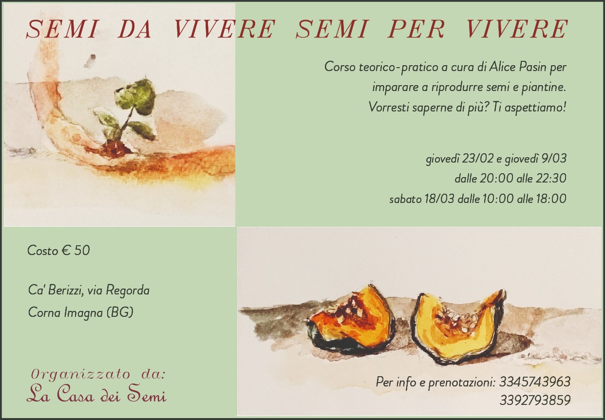 d29f665e 31be 4209 91e8 d18bc05fc29d - La Voce delle Valli