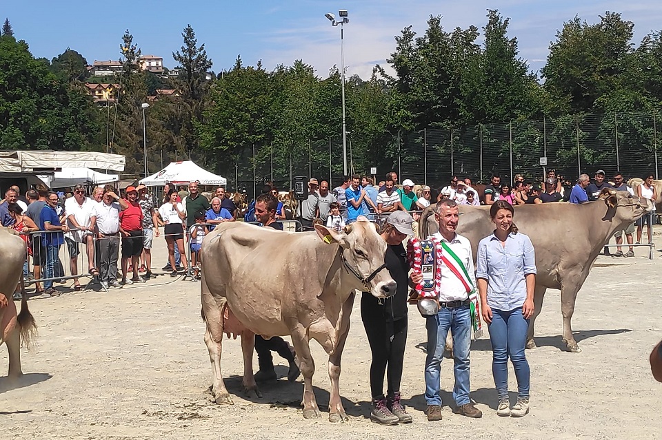 4ef0509c c767 419c a683 25d01603819f - La Voce delle Valli