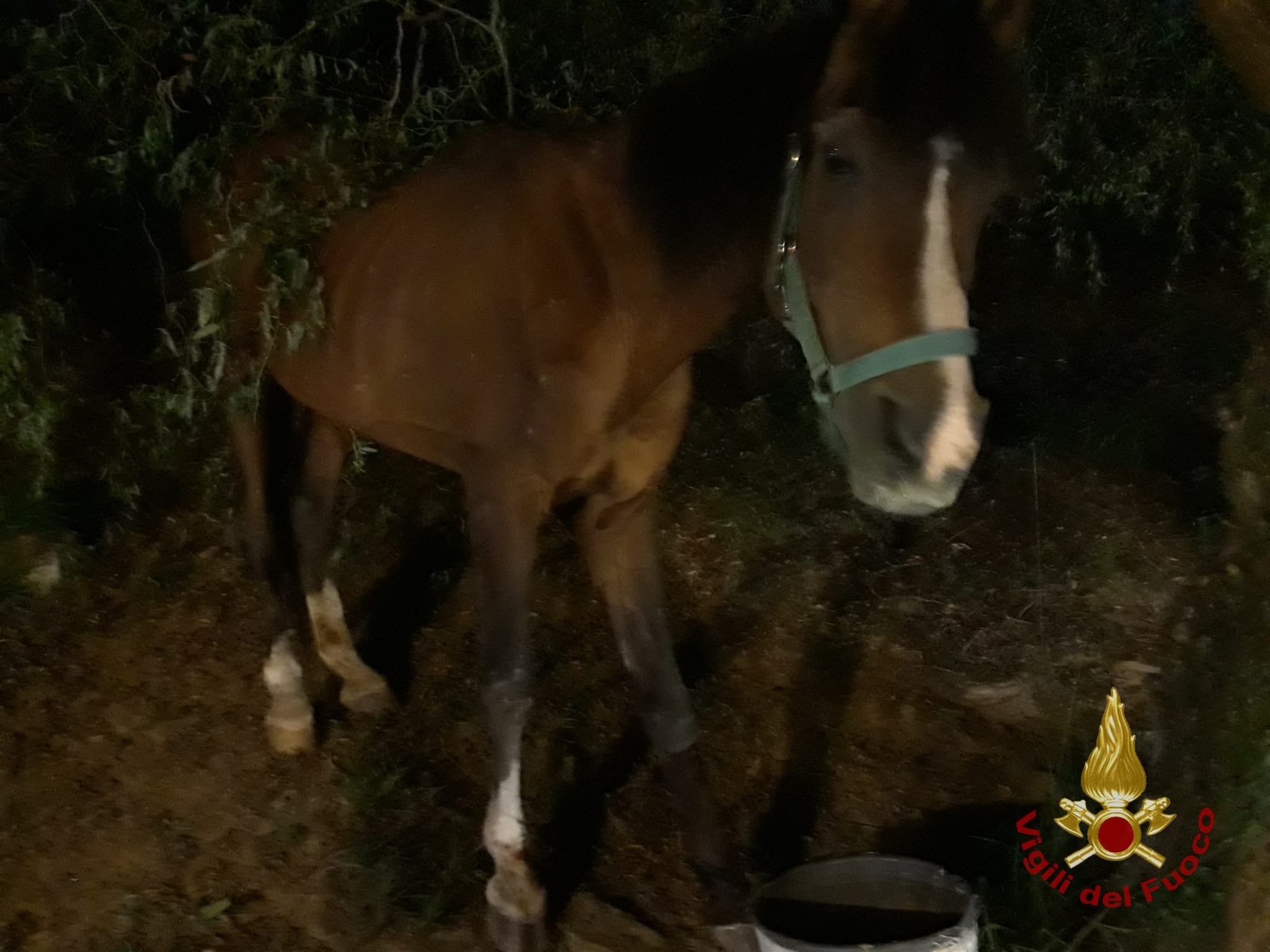 087baa96 a61c 46c6 a6db e8167a1c9306 - La Voce delle Valli