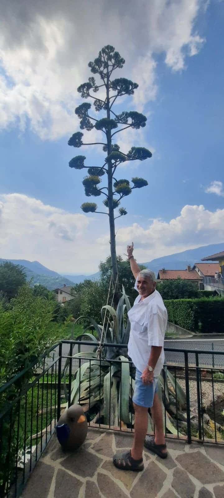 Dario Bettinelli agave berbenno - La Voce delle Valli