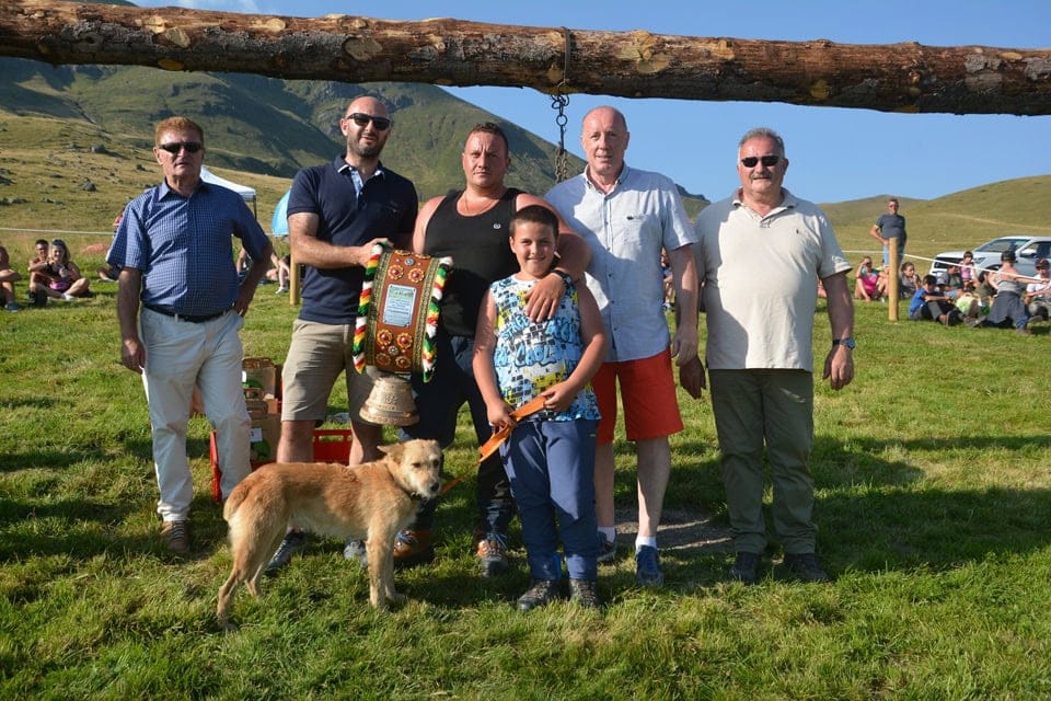 gara cani da pastore cusio 2 - La Voce delle Valli