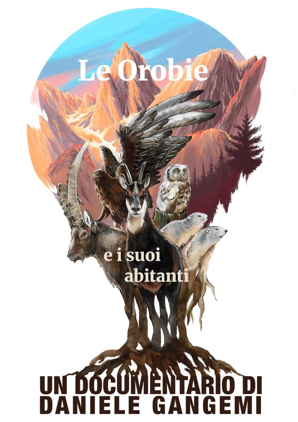 61ae53ce 8dab 4806 99ce ceae6fb36fa8 - La Voce delle Valli