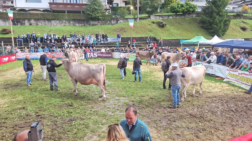 ring fiera serina - La Voce delle Valli