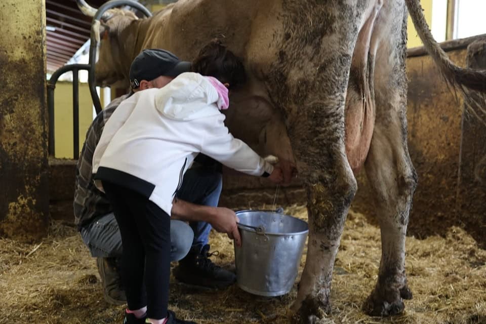 Bambini IRCCS Policlinico San Donato a Ferdy Wild 2 - La Voce delle Valli