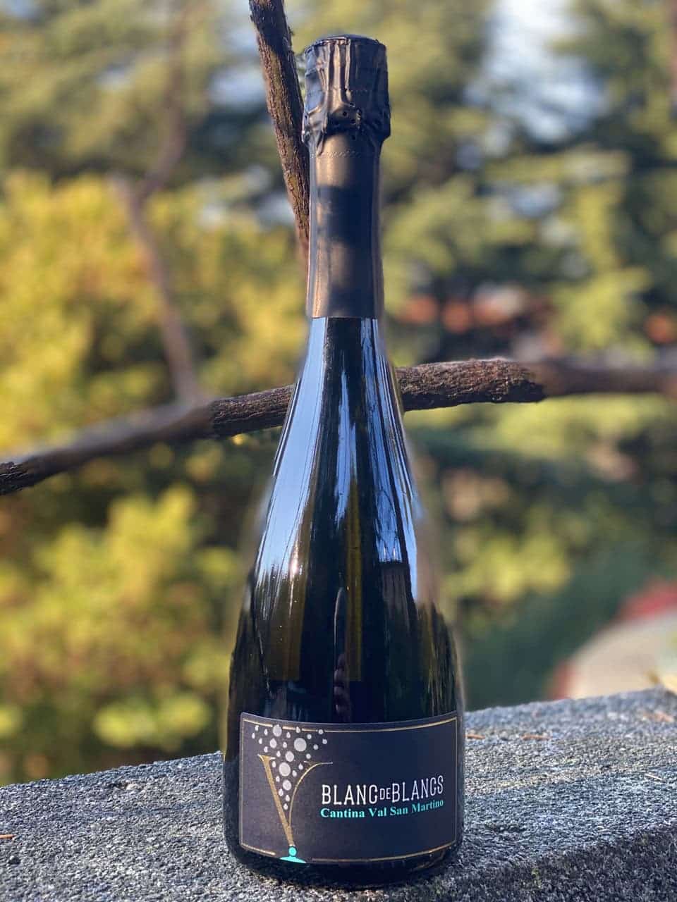 blanc de blancs2 1 - La Voce delle Valli