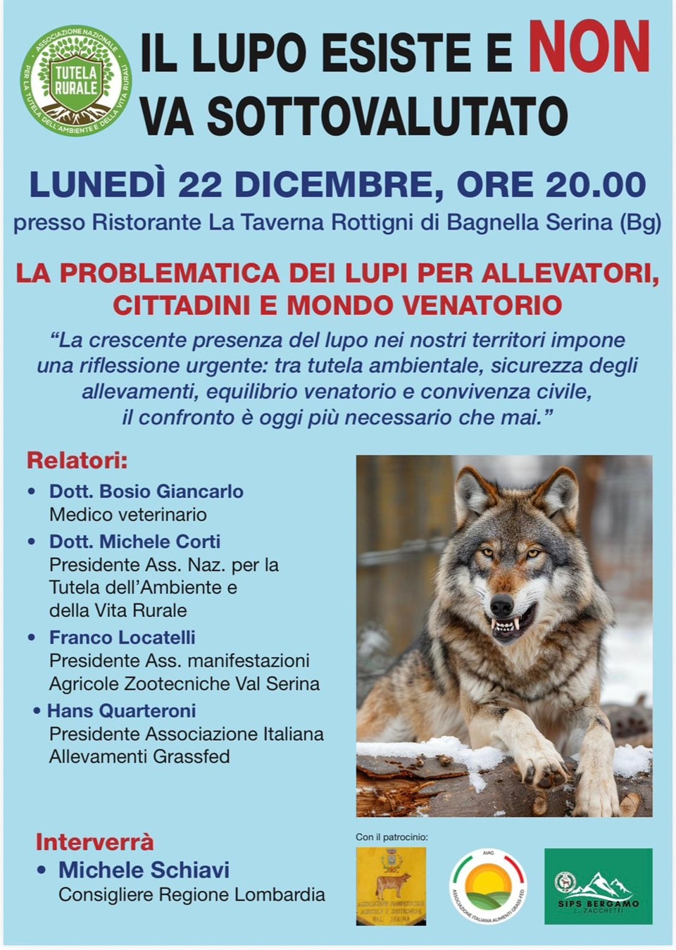 2a5bceff 564e 4267 b511 620a6a53ae17 - La Voce delle Valli