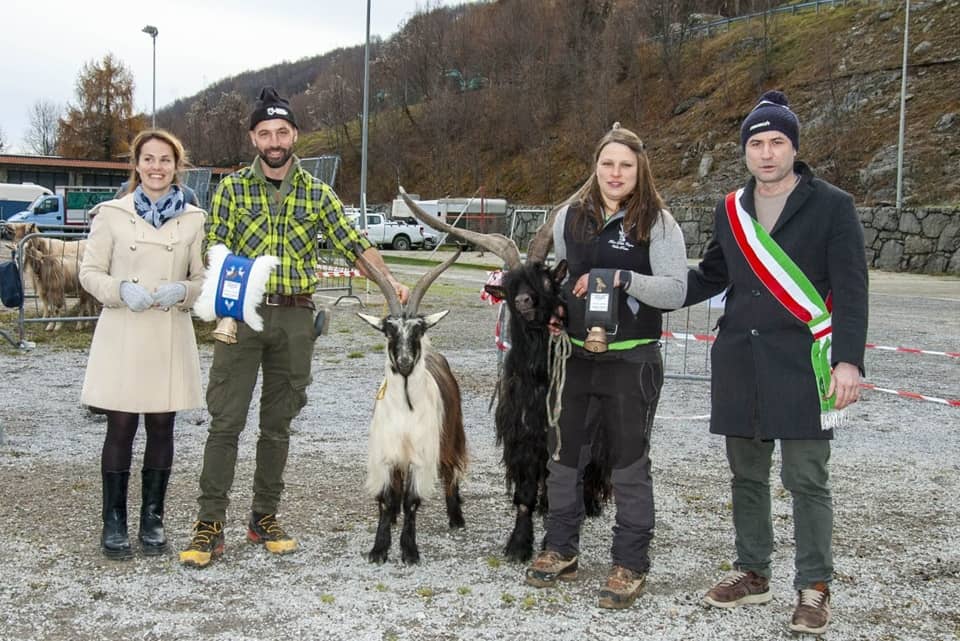 mostra caprina roncola 2025 - La Voce delle Valli