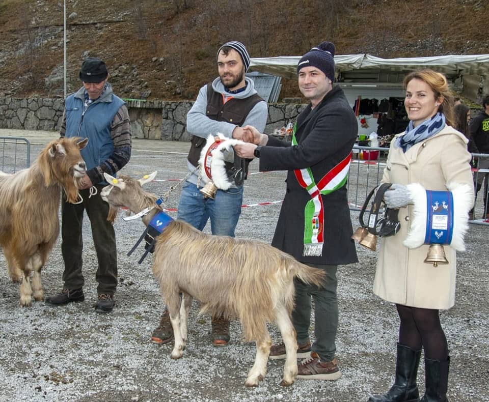 mostra roncola caprina 2025 - La Voce delle Valli