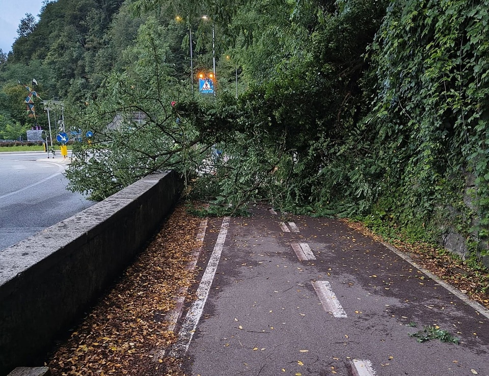 albero ciclabile san giovanni - La Voce delle Valli