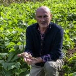 Il Parco dei Colli sperimenta la filiera del legume: spuntati i primi baccelli di fagiolo nano