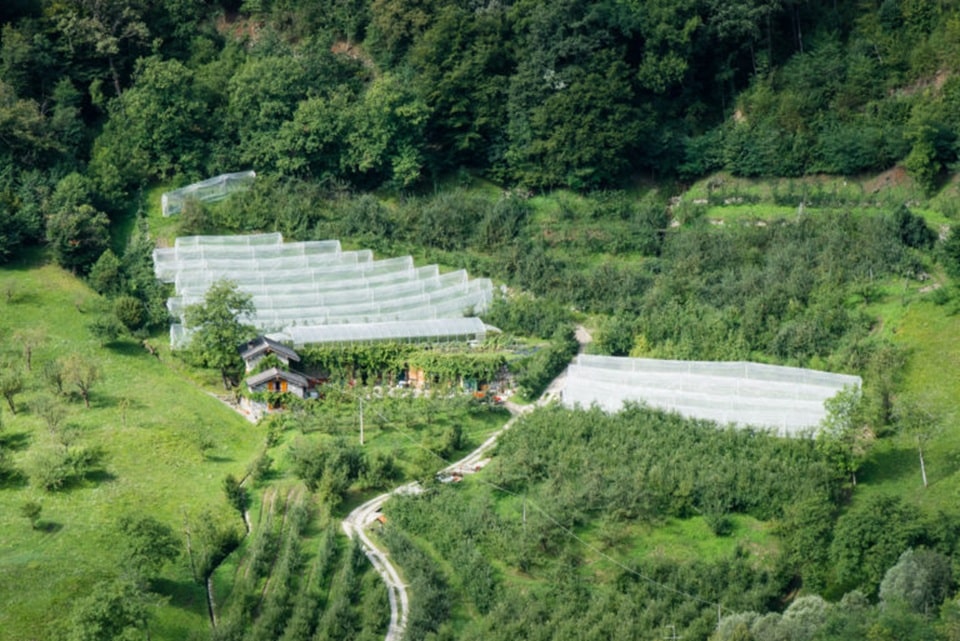 giardino della frutta - La Voce delle Valli