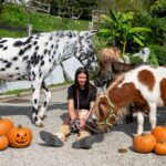 Festa di Halloween alla Scuderia delle Valle, dal pony games alla merenda stregata
