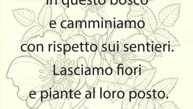 4001109794 - La Voce delle Valli