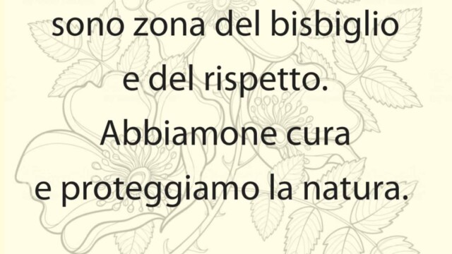 3948875670 - La Voce delle Valli