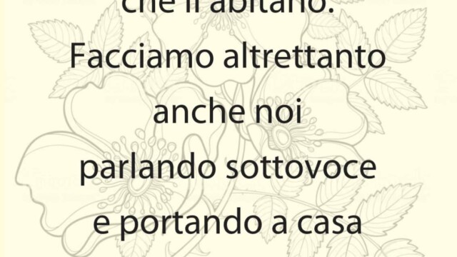 1457608751 - La Voce delle Valli