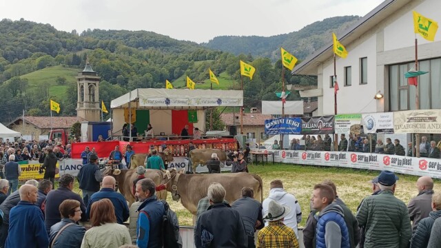707431148 - La Voce delle Valli