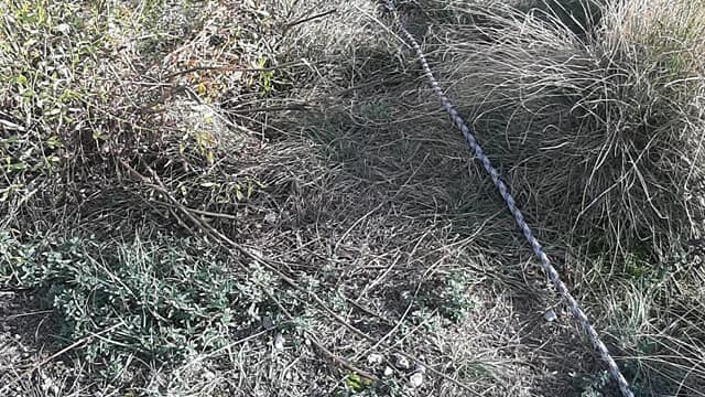2449426722 - La Voce delle Valli