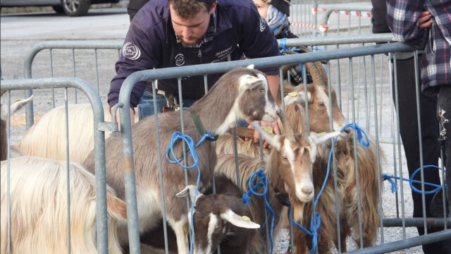 904439214 - La Voce delle Valli