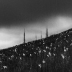 1824250593 - La Voce delle Valli