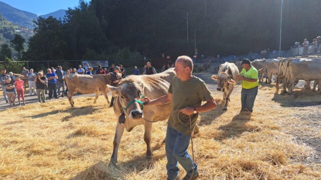 4128808512 - La Voce delle Valli